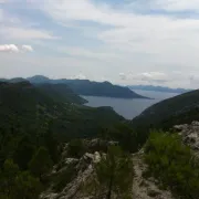 Pelješac - u raju boga Dioniza
