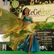 Počeo sedmi po redu ZeGeVeGe festival održivog življenja