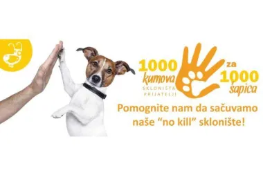 Uključite se u projekt čakovečkog azila i postanite jedan od kumova skloništa