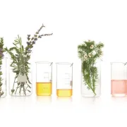 Ulje Bio-Oil napokon i u Hrvatskoj