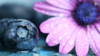 Antioksidansi – jesu li nam doista potrebni?