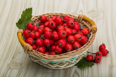 Priroda liječi - glog za zdravo srce