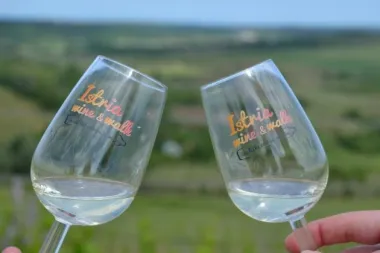 Završen prvi Istria Wine & Walk