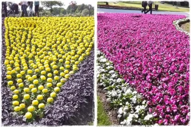 50. jubilarni Floraart