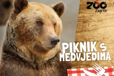 Piknik s medvjedima