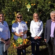 Neretvanske mandarine za Karlovačko Leđero Natur Radler