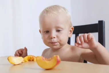Povezanost atopijskog dermatitisa i alergija na hranu