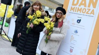 Obilježen 9. Dan mimoza uz podršku ambasadorice Ive Šulentić