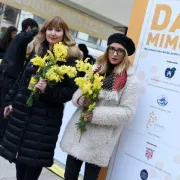 Obilježen 9. Dan mimoza uz podršku ambasadorice Ive Šulentić