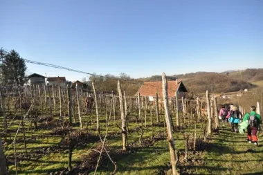 Allianz Zagorje Trekk 2016.