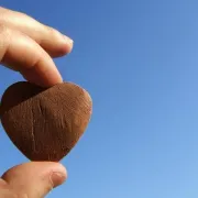Inspirirajući citati Paula Coelha koje vrijedi upamtiti