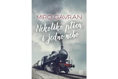 Knjiga tjedna: Nekoliko ptica i jedno nebo