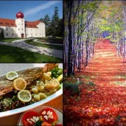 Požeško-slavonska županija: raj za hedoniste i ljubitelje aktivnog odmora