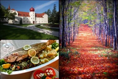 Požeško-slavonska županija: raj za hedoniste i ljubitelje aktivnog odmora