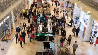 U opasnoj konkurenciji čupavih modela odabrana glavna nju&scaron;ka Westgatea