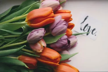 Dekor ideje: Tulipani u interijeru