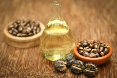 Čudotvorna svojstva ricnusovog ulja