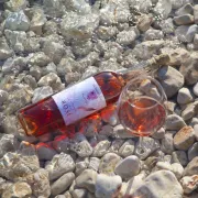 Putnikovići – mjesto gdje je vino stil života!