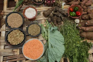 "NAJBOLJE SVJETSKE DIJETE" na kanalu 24kitchen