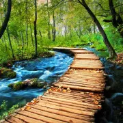 Fenomen Plitvice - mjesto gdje se susreću priroda i luksuz