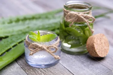 Aloe vera – načini na koje je možete primjenjivati u svojoj beauty rutini