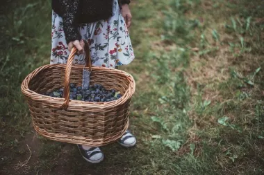 Sezona je šljiva, a mi vam otkrivamo odlične recepte