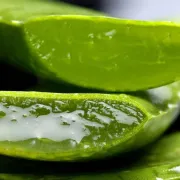 8 razloga zašto bi trebala redovito nanositi Aloe vera gel na lice