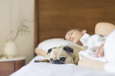 Hrčeš? Ovi savjeti će ti pomoći da prestaneš s noćnim "simfonijama"