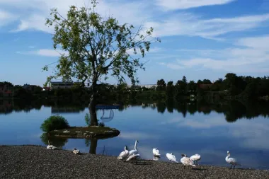 Vinkovci - šarmantna turistička destinacija u koju ćete se poželjeti vratiti
