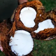7 ukusnih recepata za sve koji vole kokos
