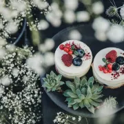 Poznati food blogeri otkrili su odlične recepte za veganske deserte