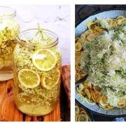 Imamo recept za savršeni sok od bazge koji nas vraća u djetinjstvo