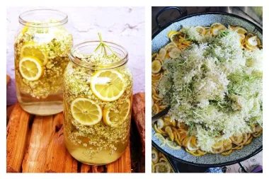 Imamo recept za savršeni sok od bazge koji nas vraća u djetinjstvo