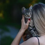 Mačka, sova ili zmija: Koja si životinja prema horoskopu?