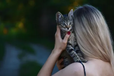 Mačka, sova ili zmija: Koja si životinja prema horoskopu?