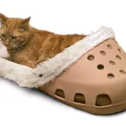 Krevetić za psa ili mačku koji izgleda kao divovska Crocsica? Prodano!