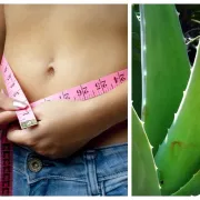 Čarobna biljka: napitak od aloe vere pomaže i kod mršavljenja