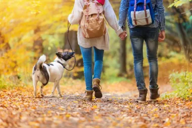 Na koji način male stvari mogu poboljšati ili pogoršati vezu