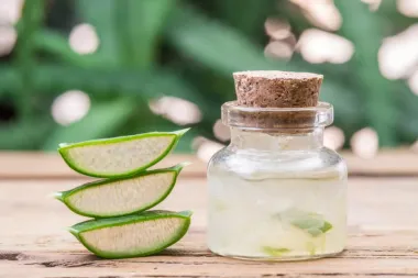 Je li aloe vera zbilja toliko dobra za kožu? Evo što kažu stručnjaci