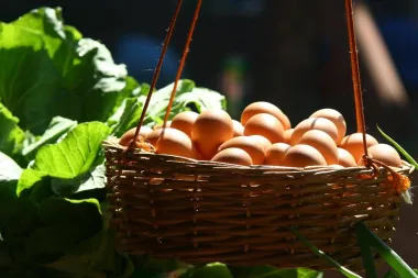 Vitamin D važniji je za zdravlje, no što misliš, a ovo su namirnice koje njime obiluju
