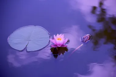 Donosimo ti šest vođenih meditacija na hrvatskom jeziku - zahvalnost, ljubav, otpuštanje prošlosti...