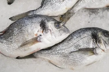 Priprema za duboko zamrzavanje ribe