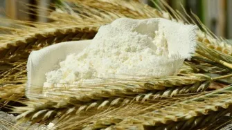 Koje brašno za dizana tijesta je najbolje?