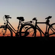 Koja je razlika između trekking i MTB bicikala?