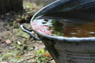 Upotreba kišnice: Zašto je isplativo koristiti kišnicu?