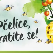Priključite se kampanji 'Pčelice, vratite se!' i pomozite im da prežive u prirodnim staništima diljem Hrvatske