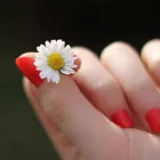 Lijepi nokti su u modi a znate li koliko traje trajni lak?