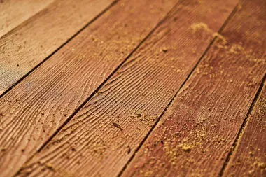 Doznajte kako moljci u parketu smanjuju čvrstoću drva