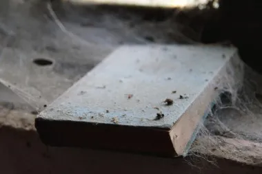 Kako očistiti fasadu od paučine?