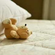 Savjeti kako dezinficirati madrac